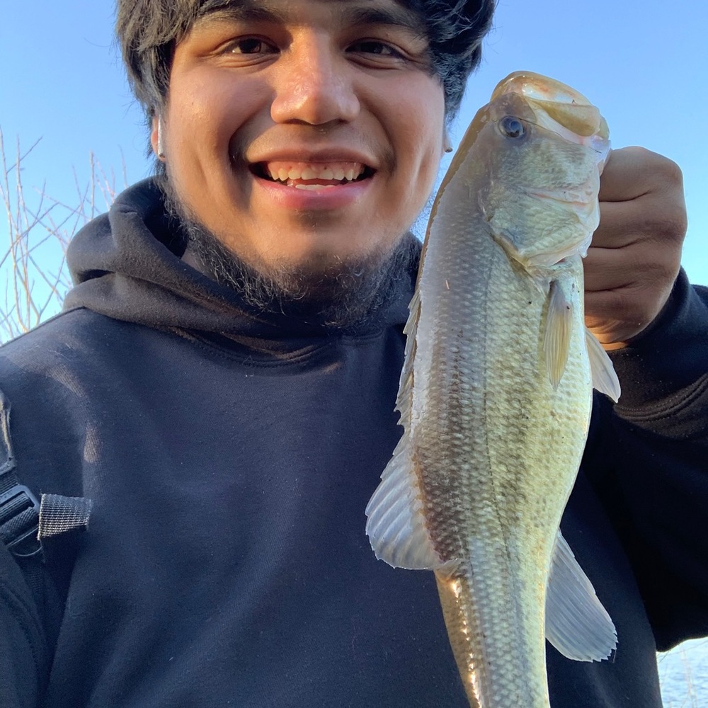 Meet your Posher, Braulio